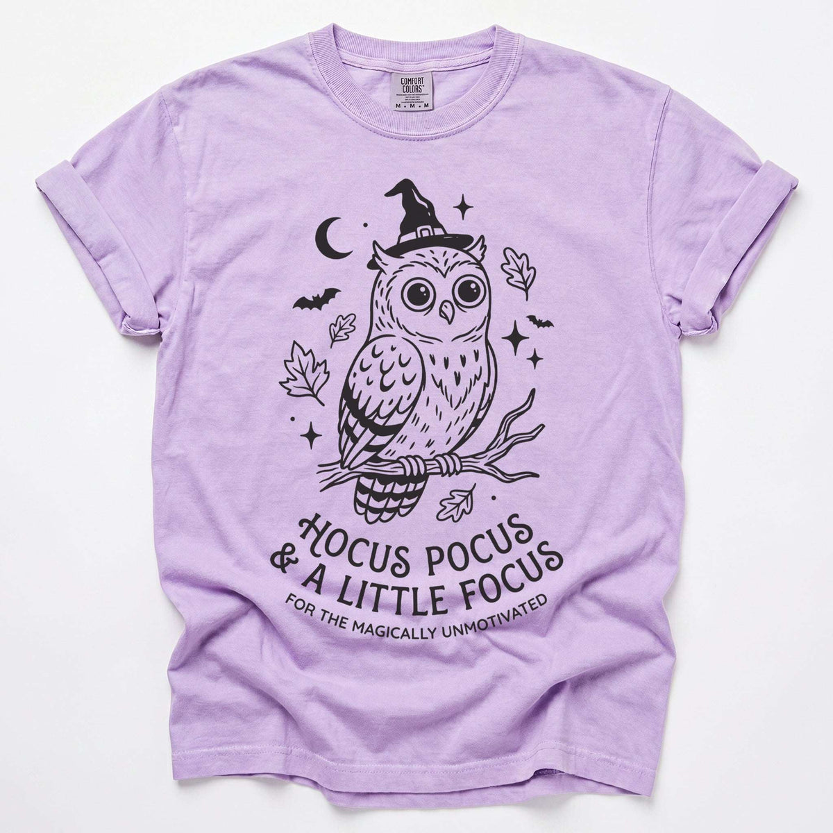 Hocus Pocus Witchy Owl Vintage Washed T-Shirt