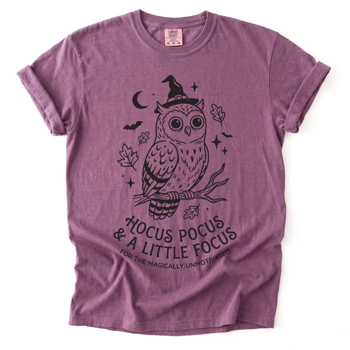 Hocus Pocus Witchy Owl Vintage Washed T-Shirt
