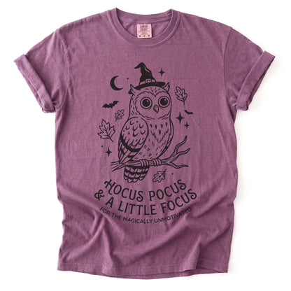 Hocus Pocus Witchy Owl Vintage Washed T-Shirt