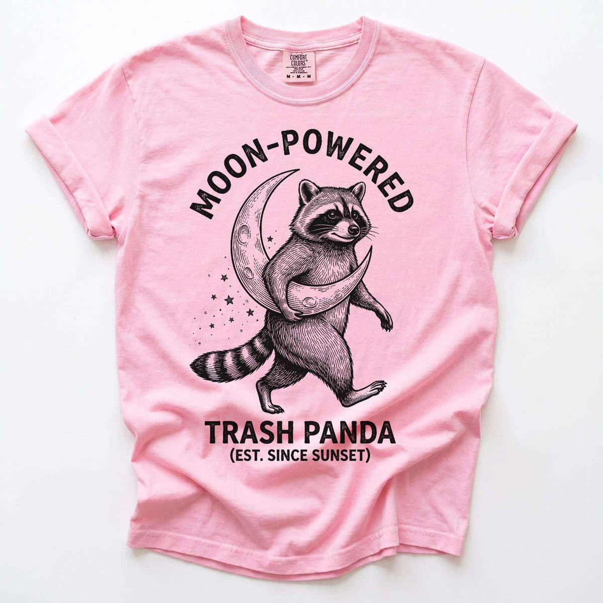 Moon-Powered Trash Panda Vintage Washed T-Shirt