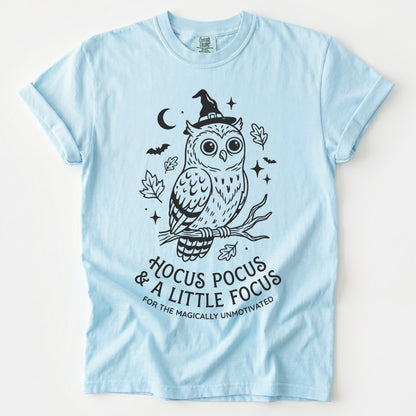 Hocus Pocus Witchy Owl Vintage Washed T-Shirt