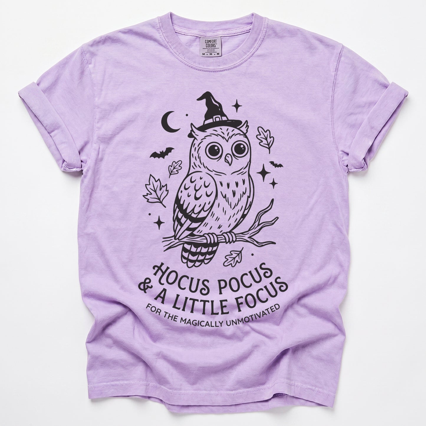 Hocus Pocus Witchy Owl Vintage Washed T-Shirt