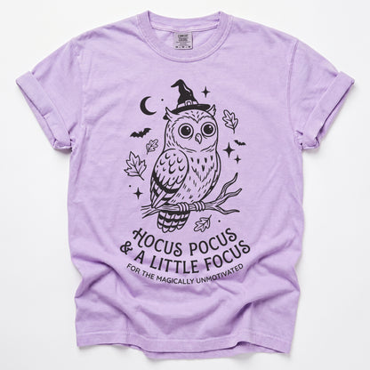 Hocus Pocus Witchy Owl Vintage Washed T-Shirt