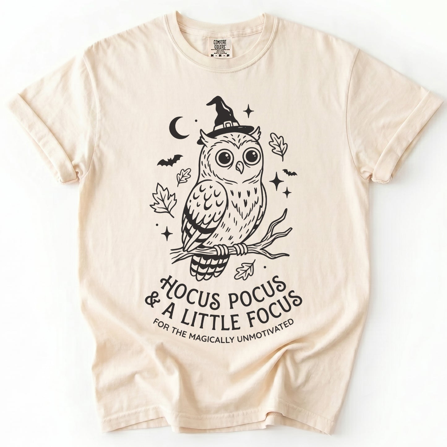 Hocus Pocus Witchy Owl Vintage Washed T-Shirt