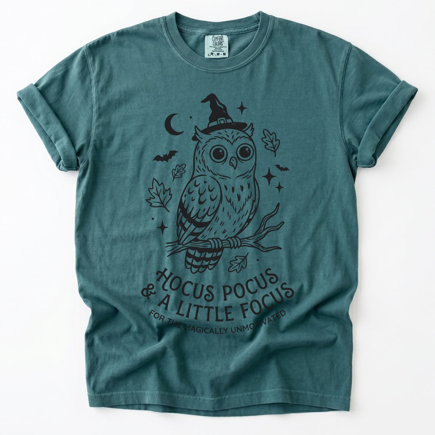 Hocus Pocus Witchy Owl Vintage Washed T-Shirt