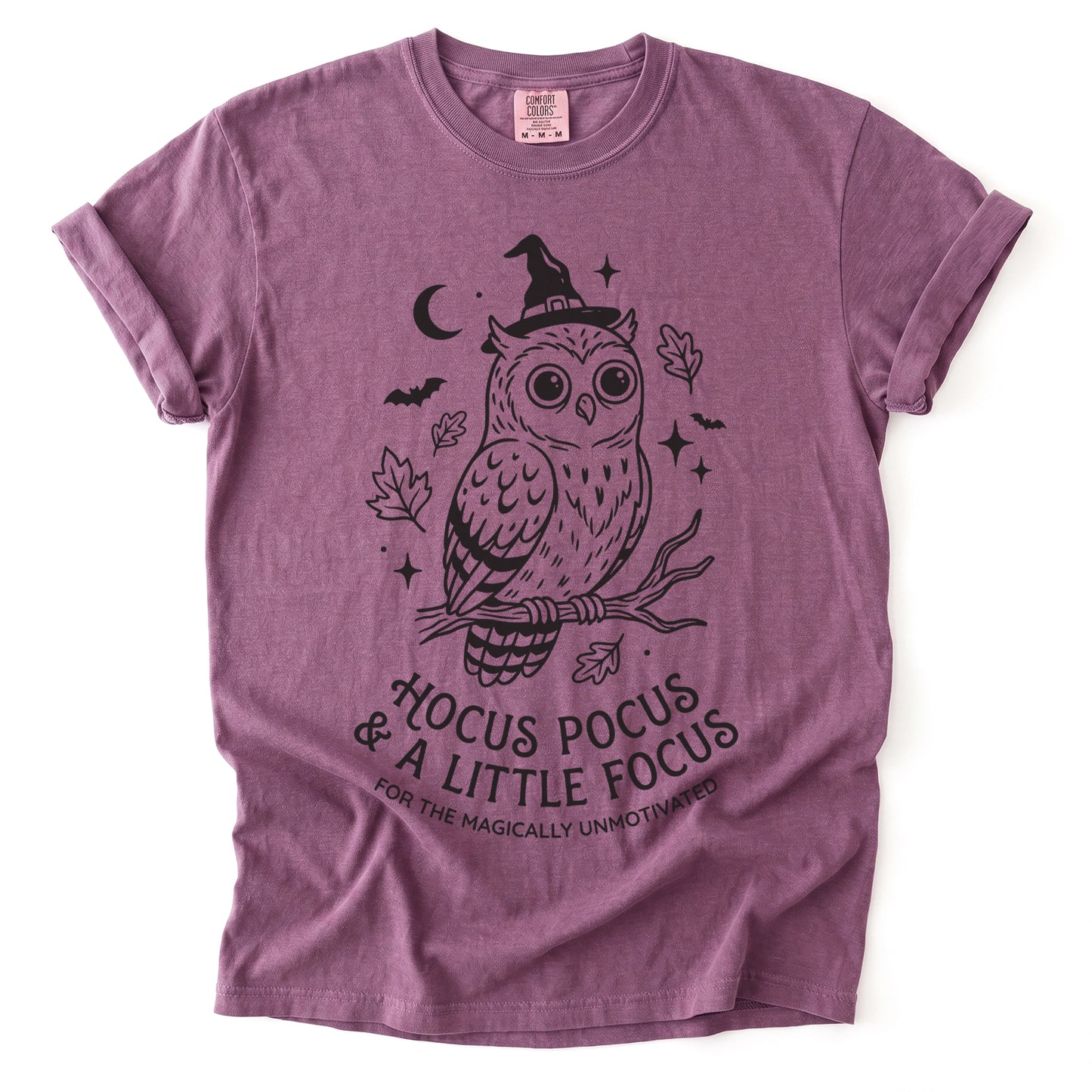 Hocus Pocus Witchy Owl Vintage Washed T-Shirt