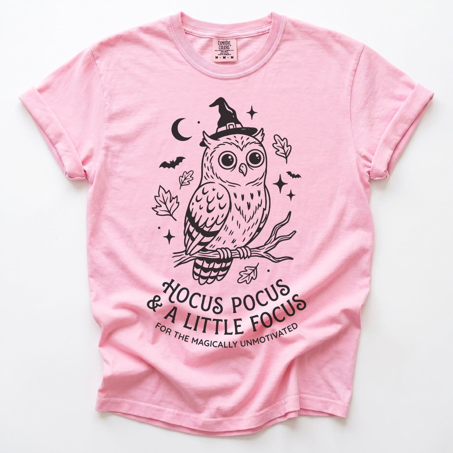 Hocus Pocus Witchy Owl Vintage Washed T-Shirt